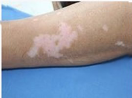 �����������������ʲô